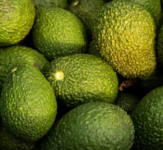 L’avocat : bon pour la santé… Mais pour la planète ?
